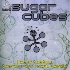 The Sugarcubes - Bjork ‎– Here Today, Tomorrow Next Week! 