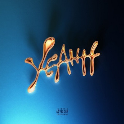 Виниловая пластинка Скриптонит - YEAHH 2LP Пикчер-диск Предзаказ