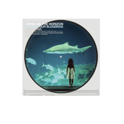 Виниловая пластинка Bring Me The Horizon - Count Your Blessings | Repented LP пикчер диск Предзаказ