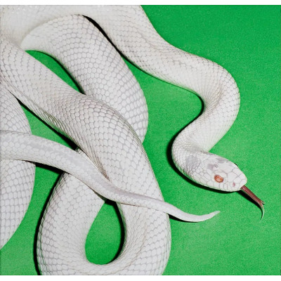 Deftones - Private Music LP чёрный винил Предзаказ Deftones - Private Music LP чёрный винил Предзаказ