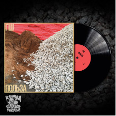 ГШ - Польза LP чёрный винил 