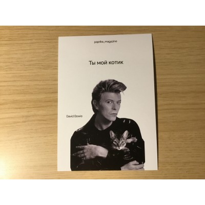 Открытка David Bowie - Котик (Paprika Magazine) -