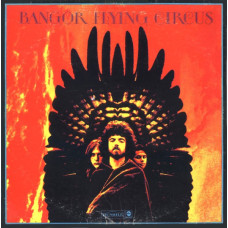 Bangor Flying Circus – Bangor Flying Circus LP 1969 US чёрный винил