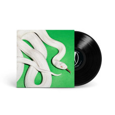 Виниловая пластинка Deftones - private music LP