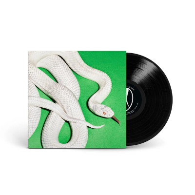 Виниловая пластинка Deftones - private music LP