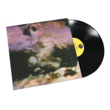 Виниловая пластинка Ministry - The Land Of Rape And Honey LP Виниловая пластинка Ministry - The Land Of Rape And Honey LP