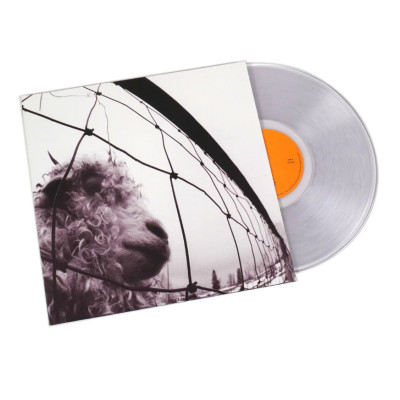 Виниловая пластинка Pearl Jam - Vs. LP прозрачный винил