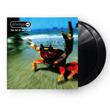 Виниловая пластинка The Prodigy ‎- The Fat Of The Land 2LP