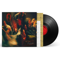 Виниловая пластинка Queens of the Stone Age - Perfecth LP Предзаказ Виниловая пластинка Queens of the Stone Age - Perfecth LP Предзаказ