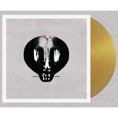 Виниловая пластинка Bullet For My Valentine - Bullet For My Valentine LP золотой винил