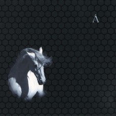 CD Åквариум – Лошадь Белая