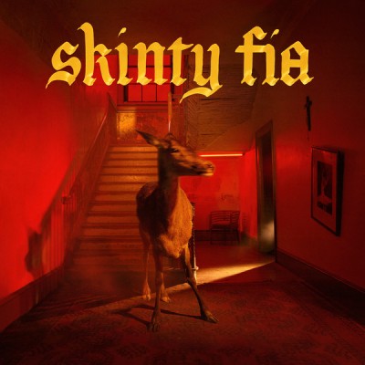 Fontaines D.C. – Skinty Fia  LP  US 2022 - PTKF3016-1