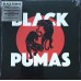 Black Pumas - Black Pumas LP - ATO0500LP