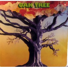 Studiker – Oak Tree LP