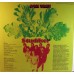 Studiker – Oak Tree LP - 20 21097-9