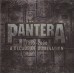 Pantera – 1990-2000 A Decade Of Domination  2LP - 81227880187