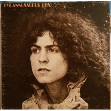 Tyrannosaurus Rex – A Beard Of Stars  LP