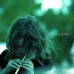 Alcest – Souvenirs D'Un Autre Monde Зеленый винил + Постер! 884388709010