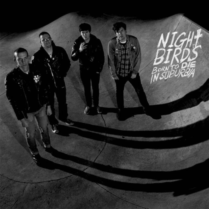 The night birds. Pandæmonium. The night birds. Брайан фриман. Night in the ruts album cover.
