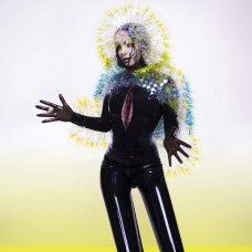CD Björk – Vulnicura Strings