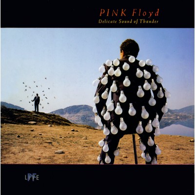 Pink Floyd - Delicate Sound Of Thunder 2LP SLPXL 37256-57