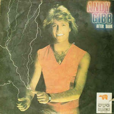 Andy Gibb ‎– After Dark ВТА 11005