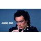 Adam Ant в магазине Maximum Vinyl