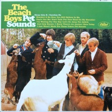 The Beach Boys – Pet Sounds LP 2016 Reissue