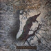 Borknagar – The Olden Domain LP Красный винил  SM 45170422