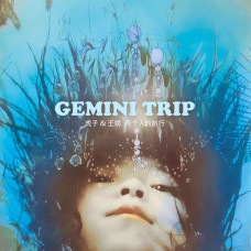 Hu Zi & Wang Juan (虎子 & 王娟) - Gemini Trip (两个人的旅行) (2005-2025) LP Ltd Ed 70 шт.
