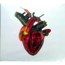CD Digipack Carcass – Torn Arteries