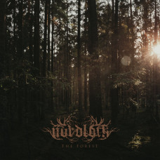 Кассета Nordloth - The Forest MC Кассета Зелёный корпус Ltd Ed 40 шт.
