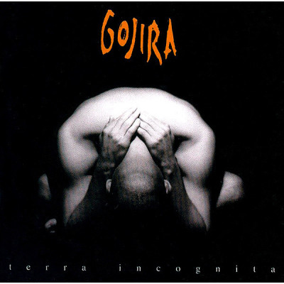 Gojira  - Terra Incognita (Silver/Black Marble Vinyl)