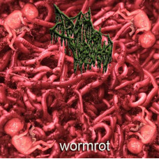 CD Drain Of Impurity – Wormrot
