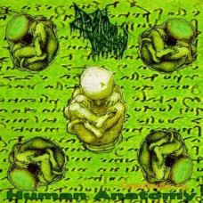 CD Drain Of Impurity – Human Anatomy