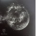 Виниловая пластинка Almyrkvi - Umbra LP Тёмно-синий винил