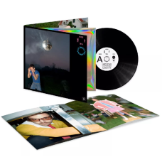 Harry Styles ‎- Kiss All The Time. Disco, Occasionally LP Черный винил Предзаказ