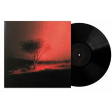 Виниловая пластинка Joji - Piss In The Wind LP