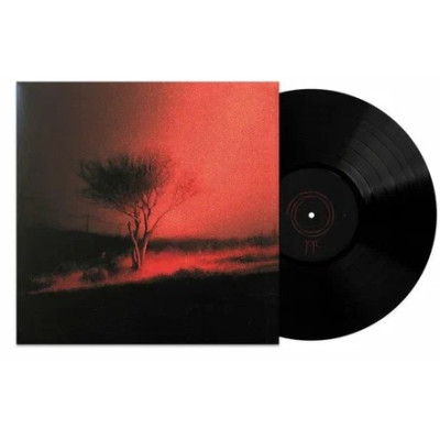 Виниловая пластинка Joji - Piss In The Wind LP