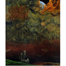 CD Gore Dimension – Ethereal Realm
