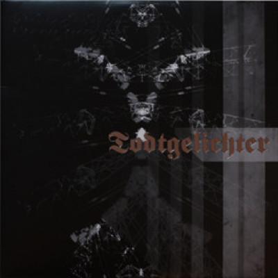 Виниловая пластинка Todtgelichter - Was Bleibt.../Schemen 2LP Белый винил