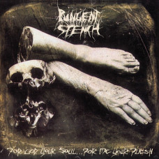 Pungent Stench - For God Your Soul... For Me Your Flesh 2LP Grey Vinyl Gatefold