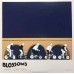 Blossoms ‎– Cool Like You 2LP Ltd Ed Exclusive Record Store Day-2019 Edition  602577297380