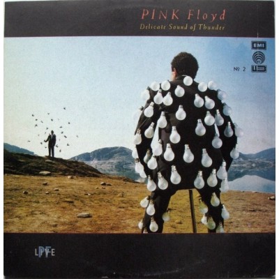 Pink Floyd - Delicate Sound Of Thunder. № 2 А60 00543 007