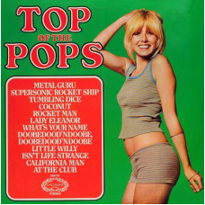 Various - The Top Of The Poppers – Top Of The Pops Vol. 24 LP чёрный винил