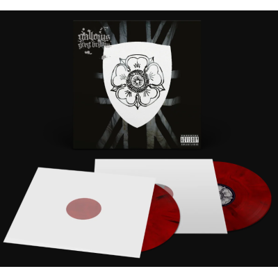 Виниловая пластинка Gallows - Grey Britain 2LP Красный с чёрным мраморный винил Предзаказ