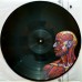 Tool  – Lateralus 2LP Golden Foil Gatefold Picture Disc 0614223116013