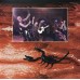 Scorpions ‎– Acoustica 2LP Gatefold 2017 Reissue 0889854069810