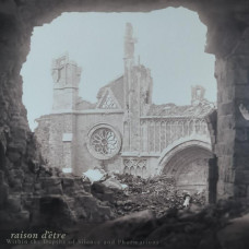 raison d'être – Within The Depths Of Silence And Phormations LP