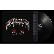 Виниловая пластинка Royal Blood - Dead Company LP Предзаказ 